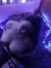 Azul puta y escort en Benito Juárez