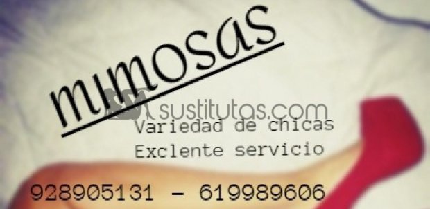 Mimosas - Somos un grupo de amigas, disponibles las 24 horas para ti amor, ofrecemos comodidad, discreción, seriedad y mucha pasión.